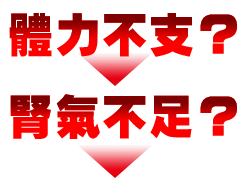 體力不支?腎氣不足?