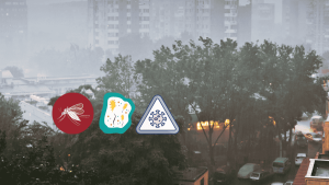 Heavy rain and waterlogging may cause 3 types of diseases. 6 preventive measures