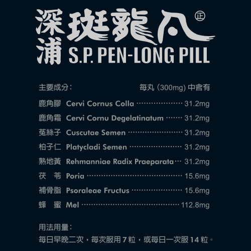 深浦斑龍丸 2 深浦斑龍丸:圖片 2