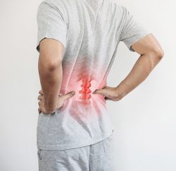 腎氣筋骨