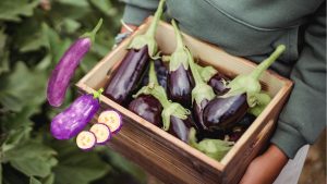 eggplant-health-benefits-cooking-tips