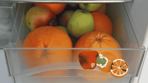 fruit-storage-mold