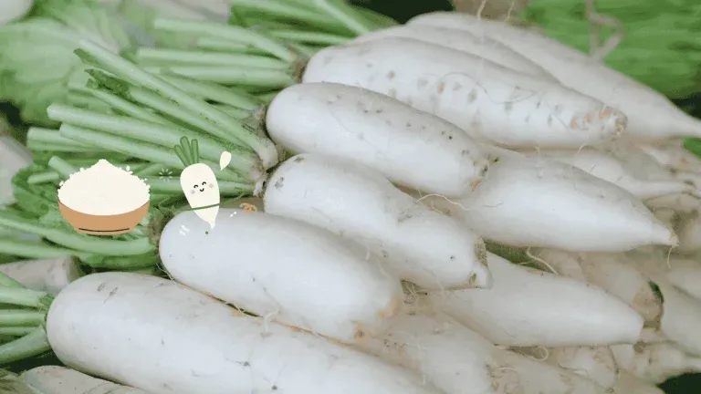 white-radish-nutrition-anti-cancer-winter-health-tcm